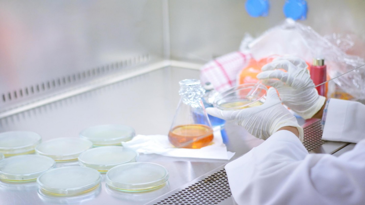 Saintis Muda Tanjungpura